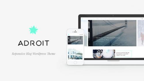 Adroit - Reponsive Blog WordPress Theme